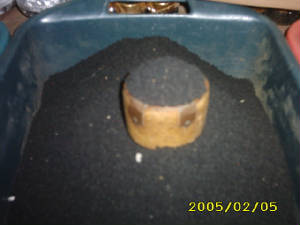 img0409.jpg