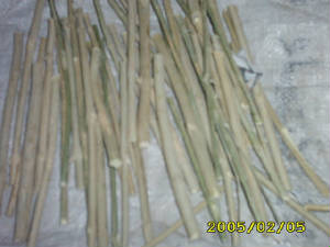 img0414.jpg
