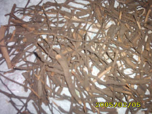 img0415.jpg