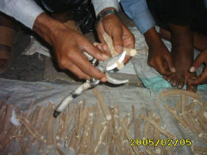 img0417.jpg